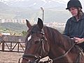 Delightful Horse-Riding amp amp Petting Farm | BahVideo.com