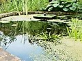 How To Know About Sensory Gardens | BahVideo.com