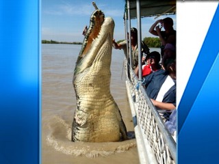 Giant 17-Foot Alligator Real or Fake  | BahVideo.com