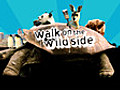 Walk on the Wild Side Series 2 Episode 2 | BahVideo.com