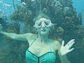 Florida Keys Underwater Concert | BahVideo.com