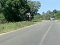 Close Call With An Elephant | BahVideo.com