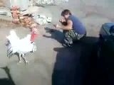Guy Fights Turkey | BahVideo.com