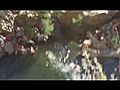 Plongeon depuis une falaise | BahVideo.com