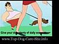 Top Dog Care | BahVideo.com