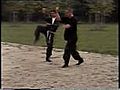  Kick and Backfist Kuroi Ryu  | BahVideo.com