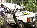 Mumbai Tree falls on car driver killed | BahVideo.com
