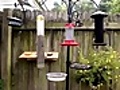 Bird Feeder Cam - Kansas 07 31 10 04 18PM | BahVideo.com