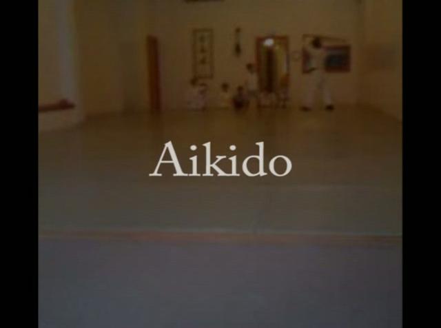 Aikido | BahVideo.com