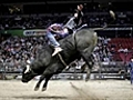 Australia’s Professional Bull Riders | BahVideo.com
