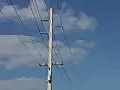 Stock Video Static View of High Voltage Electric Wires and Pole Royalty-Free HD Footage | BahVideo.com