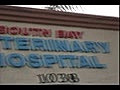 South Bay Veterinary Hospital Chula Vista | BahVideo.com
