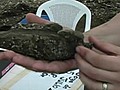 Archeologists Unearth 1 400-Year-Old Corn Cob | BahVideo.com