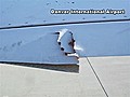 Denver hail damages 40 planes | BahVideo.com