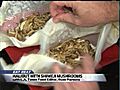 Eat Beat Halibut with Shimeji Mushrooms | BahVideo.com
