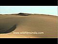 Khuri Sand Dunes Near Jaisalmer | BahVideo.com