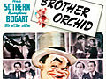 Brother Orchid | BahVideo.com