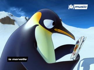 Pigloo - Le Papa Pingouin | BahVideo.com