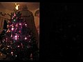 Christmas Tree Lapse | BahVideo.com