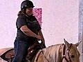 Program Combines Horses,  Therapy For Vets | BahVideo.com