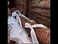 Egypt - Mummies of Gold Part 2 | BahVideo.com