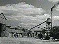 Hemp For Victory 1943 | BahVideo.com