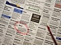 Job ads rise in June - survey | BahVideo.com