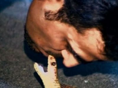 Meet The Snake Man | BahVideo.com