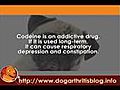 Prescription Painkillers for Dog Arthritis User Guides Part 5 - codeine | BahVideo.com