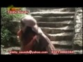 Rooh e Khuda Ka Pyar by Reena Kant flv | BahVideo.com