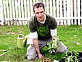 How to Start a Food Garden | BahVideo.com
