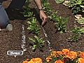 Garden Benefits | BahVideo.com