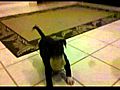 Bluenose pitbull puppy part 2 | BahVideo.com