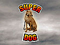 Super Dog | BahVideo.com