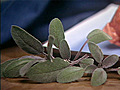 Spotlight on Herbs Sage | BahVideo.com