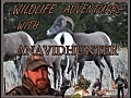 2008 Remington 7mm Magnum Mule Deer Hunt | BahVideo.com