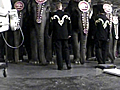 Elephants Beaten At Ringling Brothers Circus | BahVideo.com