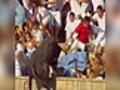 Bull Leaps Into Stands in Spain | BahVideo.com