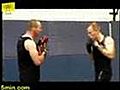 Martial Arts - Hand Strikes | BahVideo.com