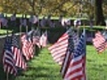 American Flags Blow in Breeze Wide | BahVideo.com