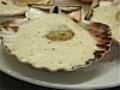 L amp 039 mulsion de crevettes grises et  | BahVideo.com