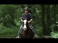 Should You Trade Your Car for a Horse  | BahVideo.com
