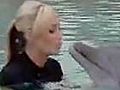 Digital Darlings Atlantis Dolphins | BahVideo.com