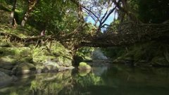 The Living Bridge | BahVideo.com