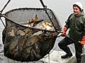 EU-Kommission Radikale Fischereireform | BahVideo.com
