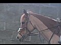 clipped | BahVideo.com