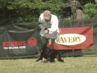 SRS Crown Championship Retriever Field Trials | BahVideo.com