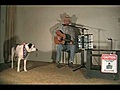 Perro tocando el acorde n | BahVideo.com
