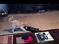 Puppy Power | BahVideo.com