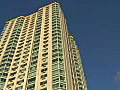 Stock Video Pan Up to Tree Branches and a Building in Jersey City New Jersey Royalty-Free HD Footage | BahVideo.com